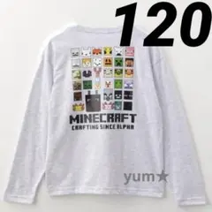 新品タグ付き★マインクラフト　長袖Tシャツ　ロゴ刺繍入り　アイスグレー　120