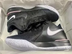 Item thumbnail for item 1065e9de-6d20-41e7-8b96-b6af04214837