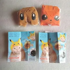 ねこのかぶりもの　ポケモン　イーブイ・ロコン　2点セット