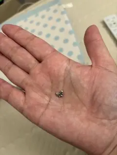 n*o様 K10 バタフライ ペンダントトップ 蝶 ゴールド チャーム 華奢アク