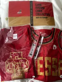 大阪エヴェッサ澤邊圭太選手試合着用サイン入ユニフォーム上下 大阪エヴェッサ澤邊圭太選手試合着用サイン入ユニフォーム上下