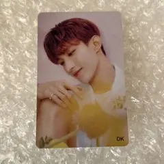 SEVENTEEN ALWAYS YOURS 大阪会場限定トレカ ドギョム - メルカリ