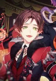 かな様専用ページ