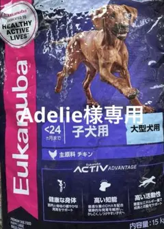 Eukanuba 大型犬　子犬用 ドライフード チキン Eukanuba チキン 大型成犬用 ドライフード 15kg - メルカリ