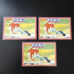 ポケモンアニメ版トップサン ホエルオー アドバンスジェネレーション