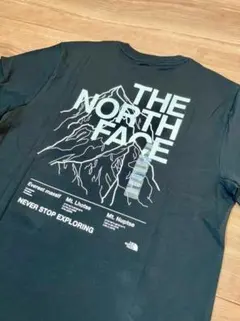THE NORTH FACE NOVELTY GRAPHIC TEE Tシャツ