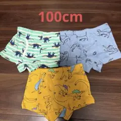 新品未使用　 男の子　子ども用下着　100cm パンツ　3枚セット 綿100%