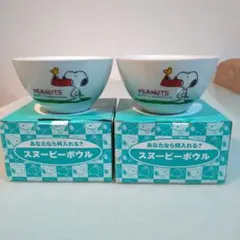 PEANUTS スヌーピー ボウル 2個セット