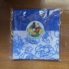 東京ディズニーリゾート バッグ　バケーションパッケージ