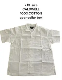 90s ラルフローレン Caldwell ポニー無し半袖L 白オープンカラー