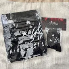 Stray Kids 5-STAR S-classシート アプグレ特典