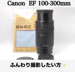 Item thumbnail for item 1ae33636-0e02-4625-8eb0-d87ff9cf1760