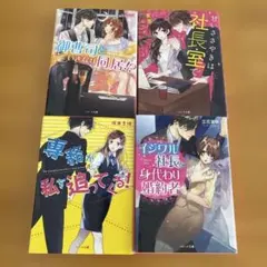 小説4冊セット ベリーズ文庫 恋愛小説 TL小説