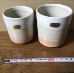 湯飲み 2個セット
