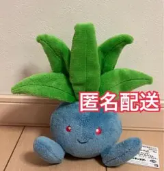 ポケモン　やさしいきもち　ぬいぐるみ　ナゾノクサ