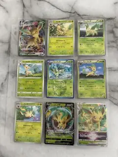 リーフィア　プラズマ団　Pokémonカード 006/051 BWのサムネイル