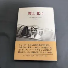 ⭐︎レア・希少⭐︎ 翼よ、北に アン・モロー・リンドバーグ みすず書房