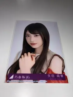 乃木坂46 生写真 ビリヤニ 封入 矢田萌華