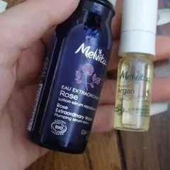 メルヴィータのサムネイル