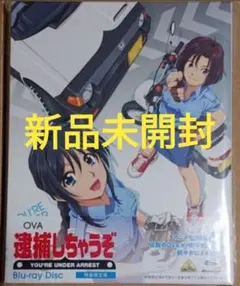 2026年最新】逮捕しちゃうぞ cdの人気アイテム - メルカリ