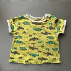 Item thumbnail for item 008ebddd-1863-4b88-ac51-d076852af73e