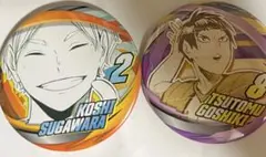 ハイキュー ファンパーク コレクション缶バッジ 菅原孝支　五色工