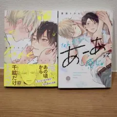宮田トヲル 2冊セット