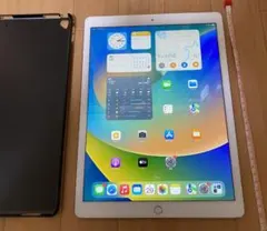 美品 Apple iPad Pro 12.9インチ SIMフリー WiFi動作品
