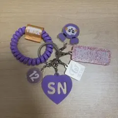 TWICE POPUP STORE コイルキーリング 【サナ】