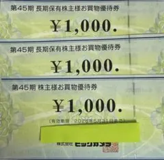 ビックカメラ 株式優待　３枚　3000円分