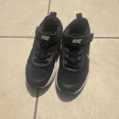 Item thumbnail for item 162670ac-886b-4c23-8677-c627ac956eec