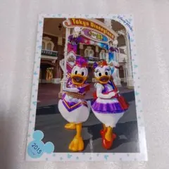 ディズニースペフォ ５４