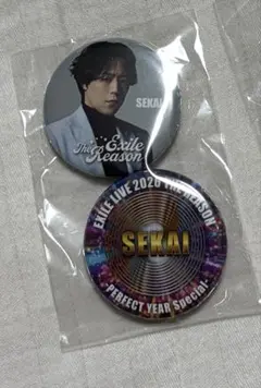 EXILE THE REASON 会場限定ガチャ 缶バッジ2個セット 世界