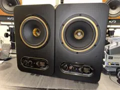 2026年最新】tannoy goldの人気アイテム - メルカリ
