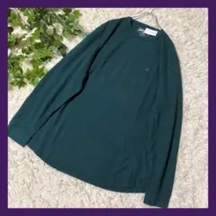 ★送料無料★未使用✨AMERICAN EAGLE　ワッフル カットソー 刺繍ロゴ