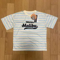 Item thumbnail for item c6cea60b-efd9-466f-abb7-6b62874c93aa