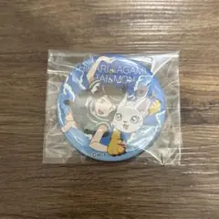 デジモンアドベンチャー02 缶バッジ プライズ 八神ヒカリ テイルモン