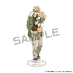 2025年最新】REBORN ディーノ アクスタの人気アイテム - メルカリ