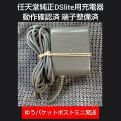 ①DSlite用 充電器 動作確認整備済み 即購入歓迎 任天堂純正USG-002