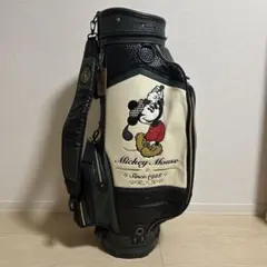 Disney ディズニー ミニーマウス 廃盤 キャディバッグ 希少 キャスター