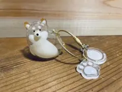 うちの子のけだまだま　柴犬　ガチャ