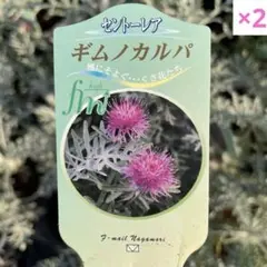 まりりん様 リクエスト 5点 まとめ商品