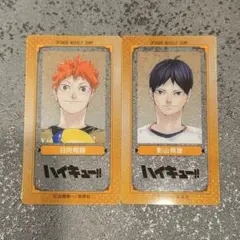 週刊少年ジャンプ クリアSLIMカードコレクション ハイキュー