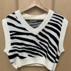 INGNI ゼブラ柄 Vネックニットベスト