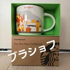 STARBUCKS BRASOV スタバ マグカップ ブラショフ 新品・未使用