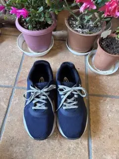 Item thumbnail for item 773c955a-b1e0-475f-937b-ef56a02c6a36