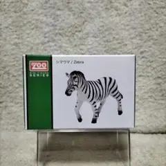 しまうま/Zebra