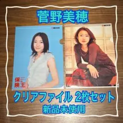 新品未使用】菅野美穂 クリアファイル 2枚セット ノベルティ 非売品