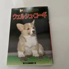 ウェルシュ・コーギー 愛犬の上手な育て方12カ月
