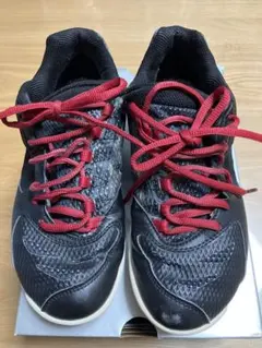 Item thumbnail for item e854adbd-fdce-485c-b317-71e3eb7366ed